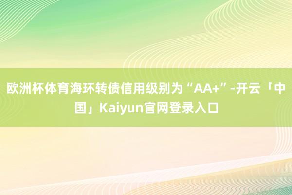 欧洲杯体育海环转债信用级别为“AA+”-开云「中国」Kaiyun官网登录入口