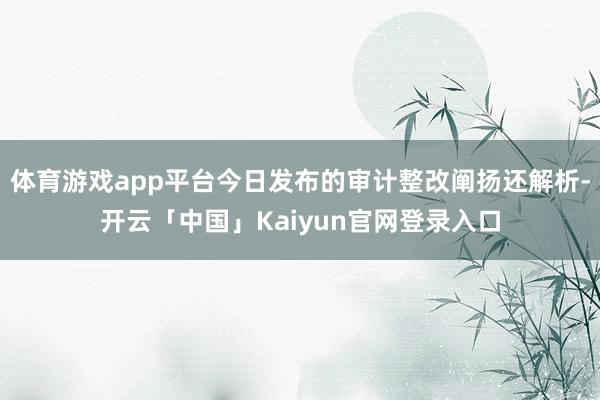 体育游戏app平台今日发布的审计整改阐扬还解析-开云「中国」Kaiyun官网登录入口