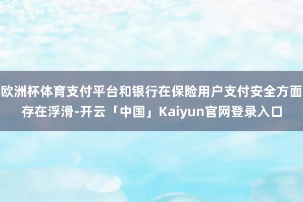 欧洲杯体育支付平台和银行在保险用户支付安全方面存在浮滑-开云「中国」Kaiyun官网登录入口